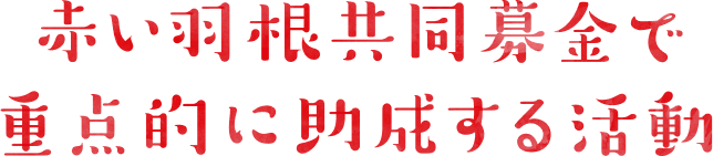 赤い羽根共同募金で重点的に助成する活動